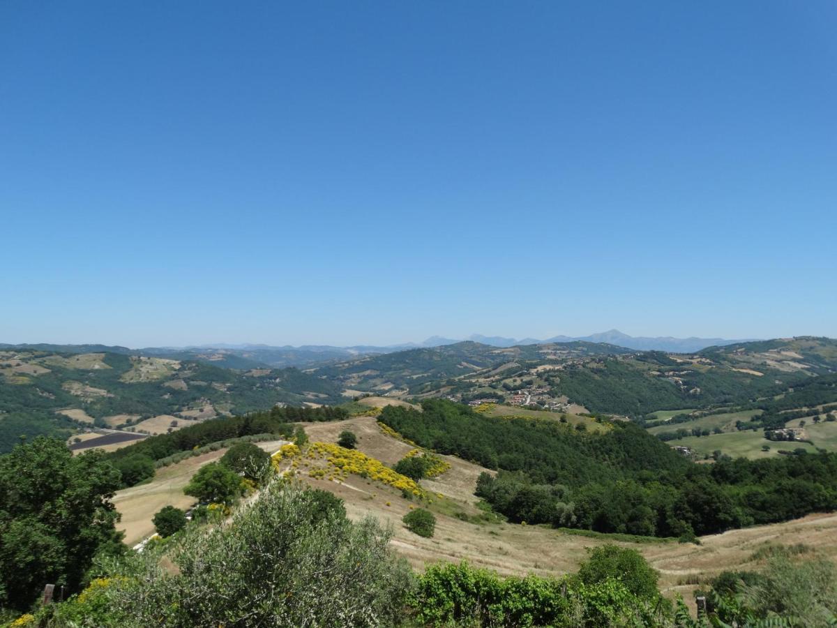 Agriturismo La Terrazza Valfabbrica Ngoại thất bức ảnh
