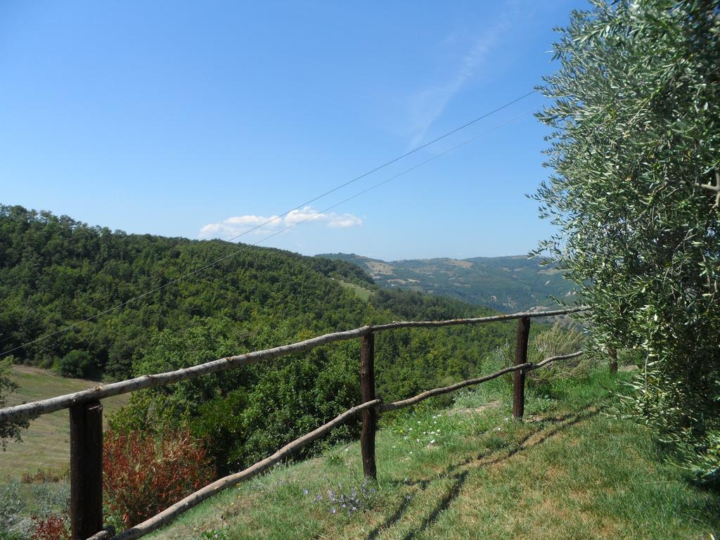 Agriturismo La Terrazza Valfabbrica Ngoại thất bức ảnh
