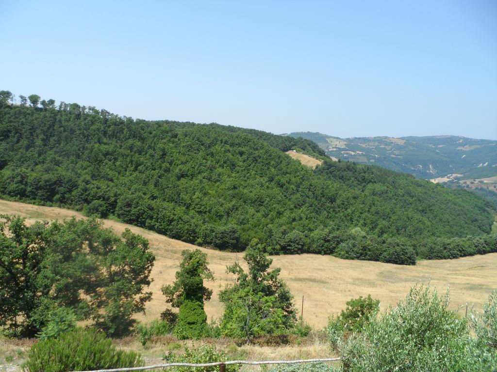 Agriturismo La Terrazza Valfabbrica Ngoại thất bức ảnh